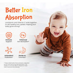 Baby Lactoferrin 2 FL OZ